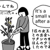 クロオオアリの女王蟻がトマトの鉢植えにやってきた話　番外編