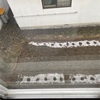 健康な体を作るには　雨だよ