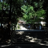 大神神社写真館(７/２)