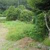 草刈りサタデー
