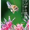 【チェコ】ミツバチ好きには堪らない養蜂農家によるハチミツの取り方