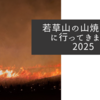 若草山の山焼きを見に行ってきました2025