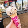 【お得クーポン利用☆】アメリカのサーティワンアイスクリーム