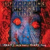 #0334) HEAVY AS A REALLY HEAVY THING / STRAPPING YOUNG LAD 【1995年リリース】