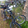 放置自転車
