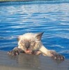 FC安養サポーターが起こした騒動と下された処分