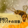 疲れたときに聴いてみたい 新居昭乃オリジナル・アルバム『ミツバチの羽音』