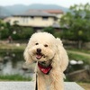 梅雨の晴れ間