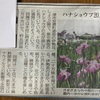 三重のお散歩〜津市安濃町の伊勢花しょうぶ園