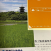 萩原興業の優待が到着、日本フイルコンの配当が増額。