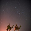 ラクダと星空のコラボレーション ～フィルターを活かして～