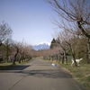 津軽鉄道に揺られて春を感じる四月