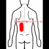 左腰が盛り上がっている人