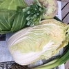 上賀茂で育った有機野菜