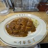 節制中飲食物摂取記録.ダブルトンカツカレー