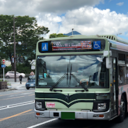 Tips for Kyoto travel