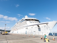 S5ⅡXで撮影したアレコレ