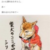 柴犬のここが好き