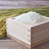 無洗米のメリットとデメリット：忙しい人におすすめの新しい米の選択肢