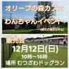 12月12日 (日)10時～千葉 道の駅(睦沢 )むつざわ オリーブの森 ドッグラン で ワン服 販売会