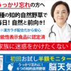 高齢者の「物忘れ」「認知症」で悩む方へ　記憶力向上サプリ【脳天気】.かっちんのホームページとブログに是非とも訪問して下さい.宜しくお願い致します...