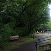 朝散歩