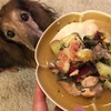 【犬ごはん】秋の食材色々ごはん