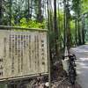 林道王の入線　え？　りんどうおう？