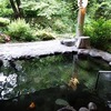 かど半旅館（別荘）＊群馬県吾妻郡川中温泉（再訪）