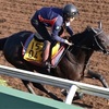 府中牝馬ステークスを考えよう。　出走各馬の調教・外厩情報