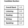 IELTS対策、再始動～目指せ7.0！～