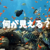 インバウンド　悩ましきは