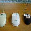 ３匹のマウス