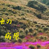 滅裂な訂正不能２