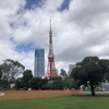 1年前の東京タワー