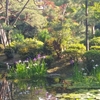 【京都】平安神宮神苑で写真撮影ー見所とオススメ