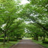 熊本市西区の「柿原公園」へ行ってきました