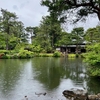 清水園の庭園池（新潟県新発田）