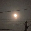 今夜は満月🌝