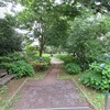 本村西公園_紫陽花が綺麗（東京都武蔵野市）