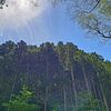 柳津虚空蔵尊その１～大鳥居と菅野さんの石碑（宮城県登米市津山町）