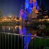 癒しの国の世界Aliceがお届けする　週末の癒しの風景