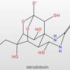 テトロドトキシン
