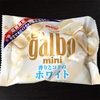 【レビュー】パクチーラーメン、【激うま！】meiji/白い galbo miniを食べてみたよ！の巻