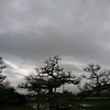 昨日は暑かったが～　また梅雨空。