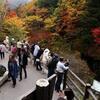 Go To トラブル、読売旅行 北海道ツアーでクラスター。