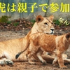 夏虎🐯合宿（組手）は保護者も参加！？