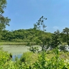 トキサ沼（北海道苫小牧）