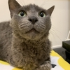 モナミちゃんが走る！