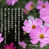 こころの道しるべ（241）いつも近くに